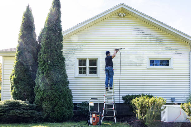 Best Pressure Washing Brick  in Idaho Springs, CO