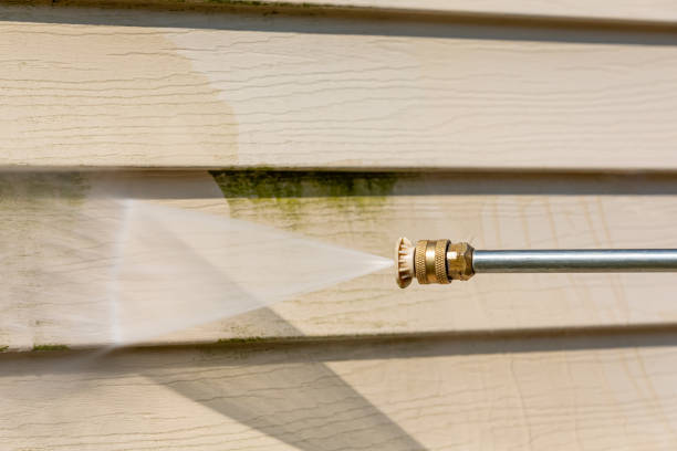Best Roof Power Washing Services  in Idaho Springs, CO